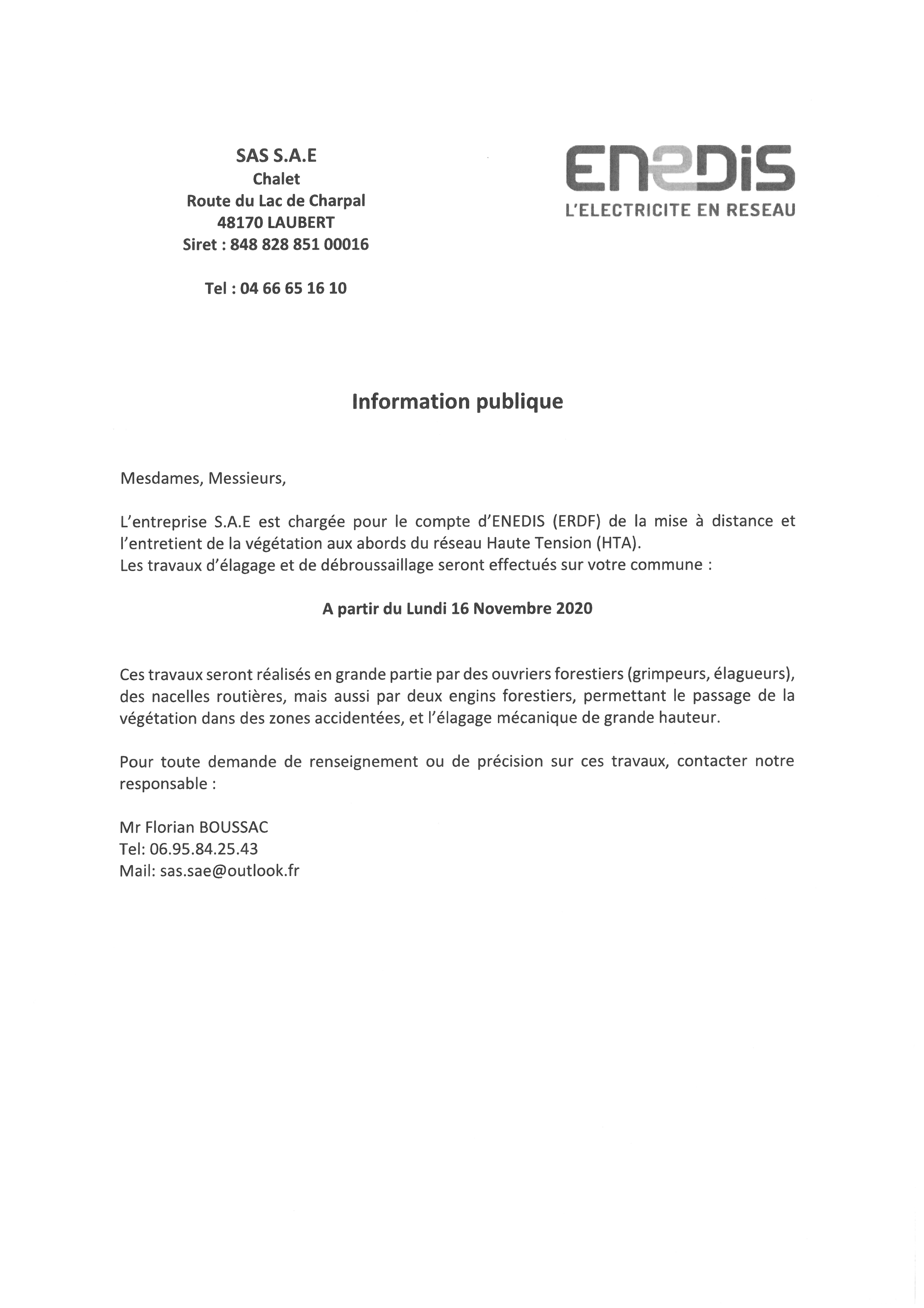 Elagage ligne HT_0001