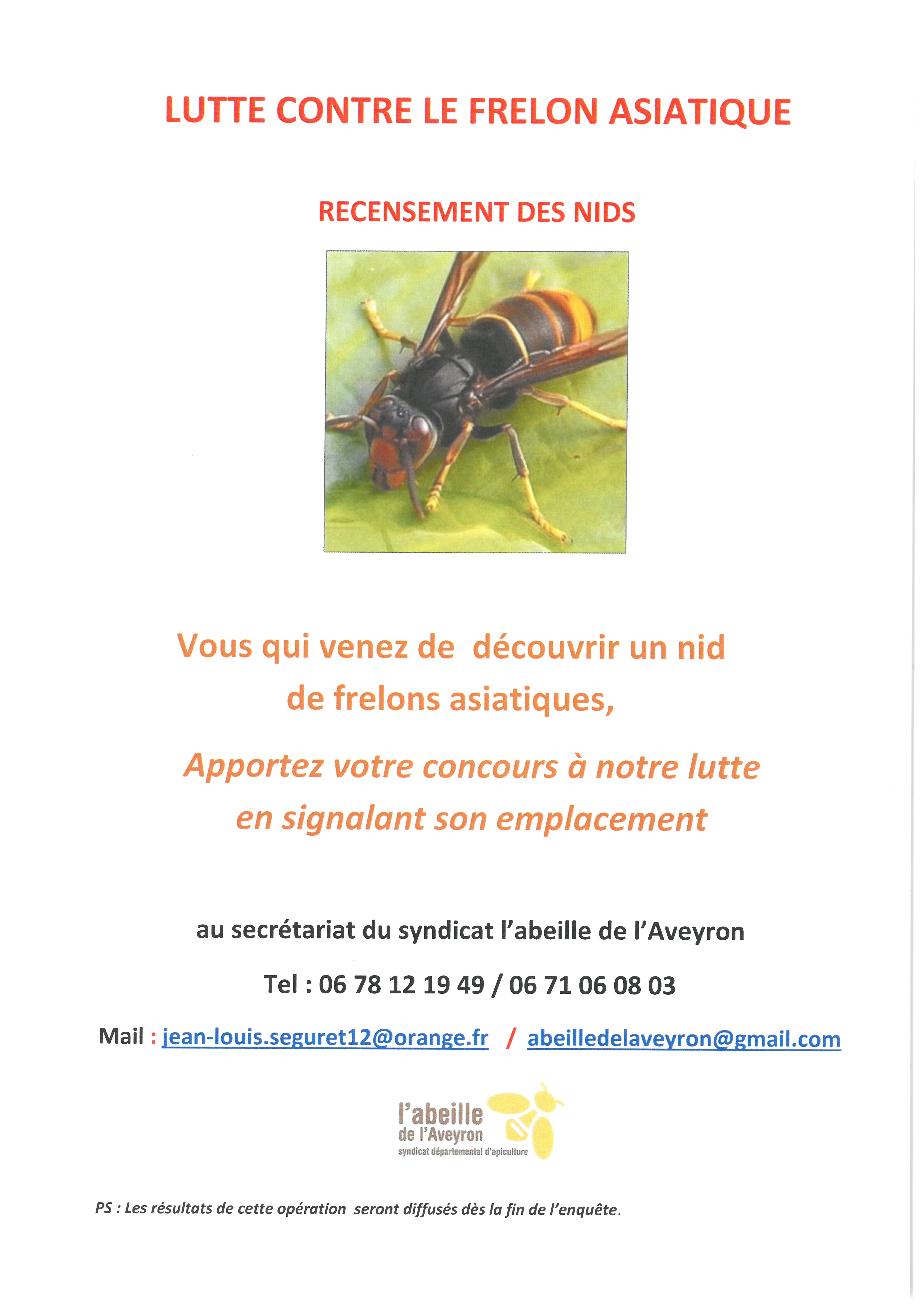 Lutte Frelon Asiatique
